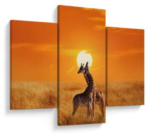 Kép - Zsiráfok a Serengeti Nemzeti Parkban (90x60 cm)
