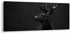Kép - Egy szarvas portréja (120x50 cm)