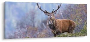 Kép - Szarvasok a tájban (120x50 cm)