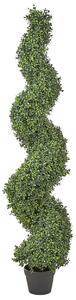 Műnövény BUXUS SPIRAL TREE 158 cm Zöld