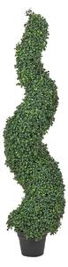 Műnövény BOXWOOD SPIRAL TREE 120 cm Zöld
