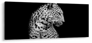 Kép - Leopárd (120x50 cm)