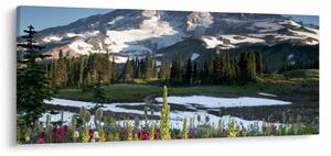 Kép - Mount Rainier (120x50 cm)