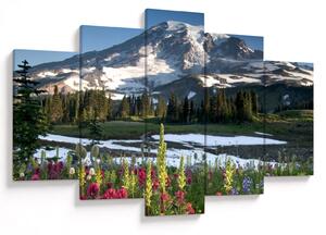 Kép - Mount Rainier (150x105 cm)