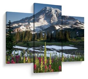 Kép - Mount Rainier (90x60 cm)