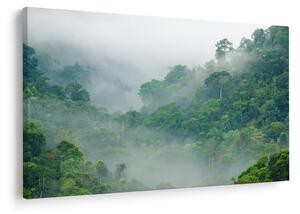 Kép - Reggeli köd (90x60 cm)