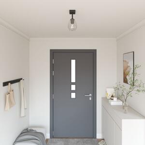 Állítható Üveg Lámpabúrával Ellátott Mennyezeti Lámpák Anthracite E27