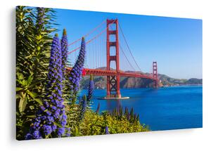 Kép - Golden Gate híd, San Francisco (90x60 cm)