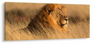 Kép - Etosha Nemzeti Park (120x50 cm)