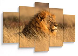 Kép - Etosha Nemzeti Park (150x105 cm)