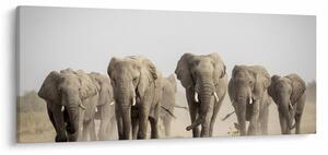 Kép - Elefántcsorda (120x50 cm)