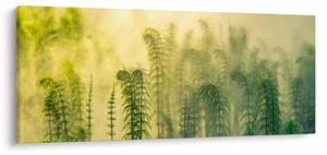 Kép - Részlet a tavaszi ködös természetből (120x50 cm)