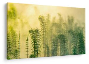Kép - Részlet a tavaszi ködös természetből (90x60 cm)