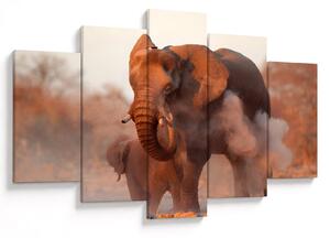 Kép - Nagy afrikai elefánt (150x105 cm)