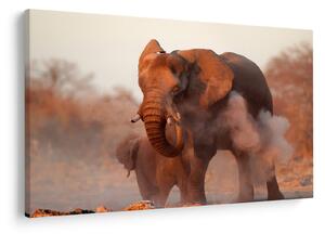 Kép - Nagy afrikai elefánt (90x60 cm)