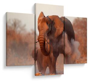 Kép - Nagy afrikai elefánt (90x60 cm)