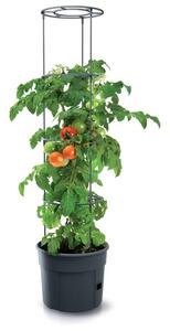 Prosperplast Virágcserép paradicsom és más kúszónövények termesztéséhez, Antracit termesztő 39,2 cm