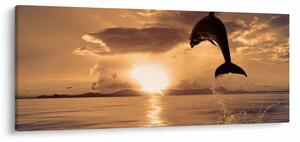 Kép - Delfin naplementében (120x50 cm)