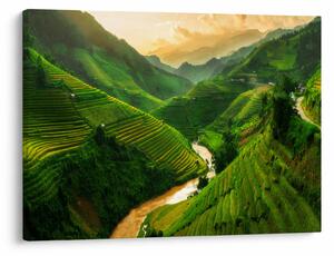 Kép - Mu Cang Chai rizsteraszok (70x50 cm)