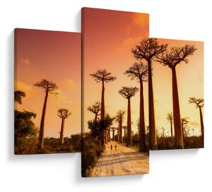 Kép - Naplemente a Baobab Alley-ben (90x60 cm)