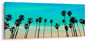 Kép - Kalifornia (120x50 cm)