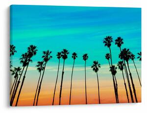 Kép - Kalifornia (70x50 cm)