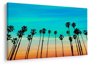 Kép - Kalifornia (90x60 cm)