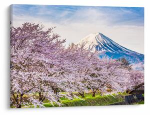 Kép - Japán tavasszal (70x50 cm)