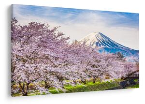 Kép - Japán tavasszal (90x60 cm)