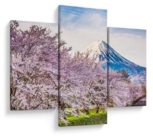 Kép - Japán tavasszal (90x60 cm)