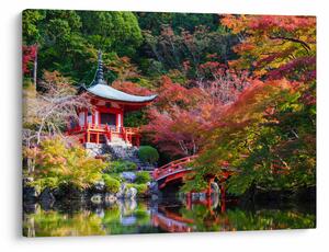 Kép - Daigodji (70x50 cm)