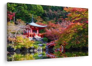Kép - Daigodji (90x60 cm)