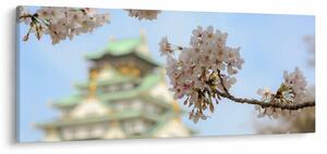 Kép - Sakura (120x50 cm)