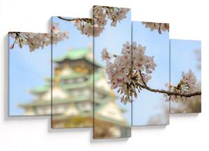 Kép - Sakura (150x105 cm)