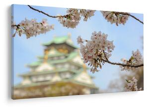 Kép - Sakura (90x60 cm)
