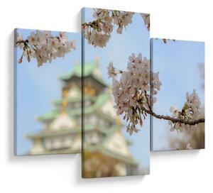 Kép - Sakura (90x60 cm)