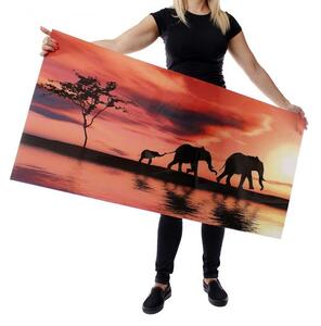 Wallplex falburkoló konyhapanel Safari (Méret: Kicsi 60x120)