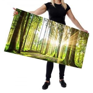 Wallplex falburkoló konyhapanel Erdő (Méret: Kicsi 60x120)
