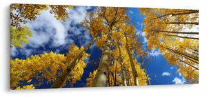 Kép - Aspen (120x50 cm)