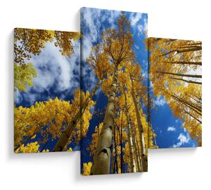 Kép - Aspen (90x60 cm)