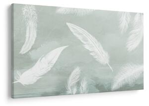 Kép - Fehér tollak (90x60 cm)