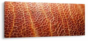 Kép - Textúra részlet (120x50 cm)