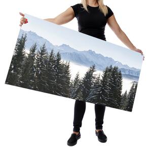 Wallplex falburkoló konyhapanel Fenyő (Méret: Kicsi 60x120)