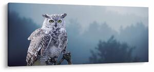 Kép - Hóbagoly (120x50 cm)