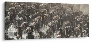 Kép - Gnúcsorda (120x50 cm)
