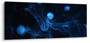 Kép - Medúza (120x50 cm)