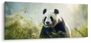 Kép - Panda (120x50 cm)