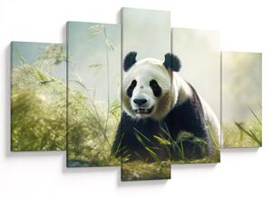 Kép - Panda (150x105 cm)