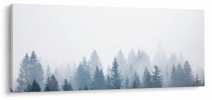 Kép - Ködös erdő (120x50 cm)