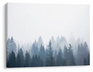 Kép - Ködös erdő (70x50 cm)